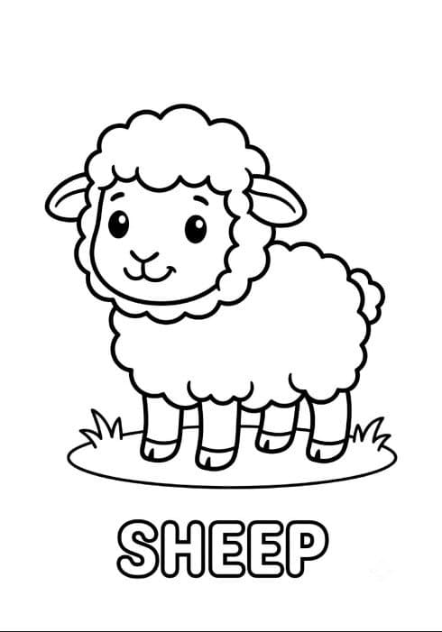 Animal Friends Coloring & Learning Pack — Printable sheep colouring page