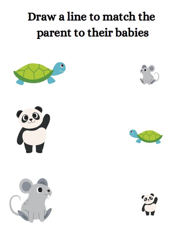 The Big Book of Comparisons: 100 Worksheets on Matching, Sorting and Comparing — A look inside the pack — Parents and Babies (matching)