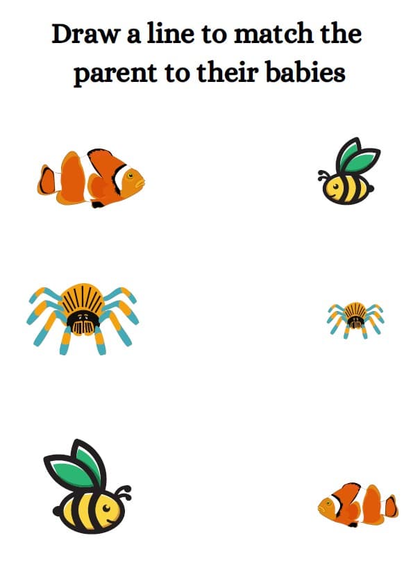 The Big Book of Comparisons: 100 Worksheets on Matching, Sorting and Comparing — A look inside the pack — Parents and Babies (matching), page 2