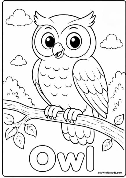 Birds of the World Coloring Pack — Printable owl colouring page